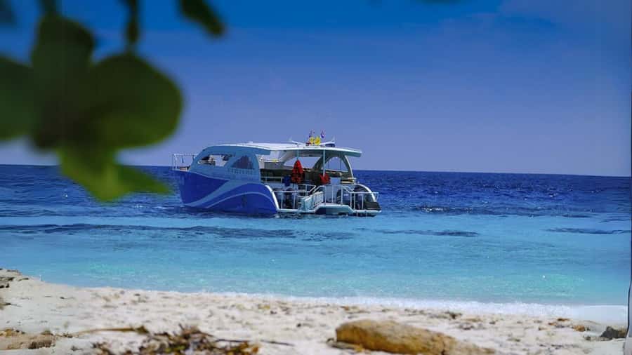Phuket: Raya Island, Maithon Island, & Dolphin Spotting Tour - What to pack for this particular day