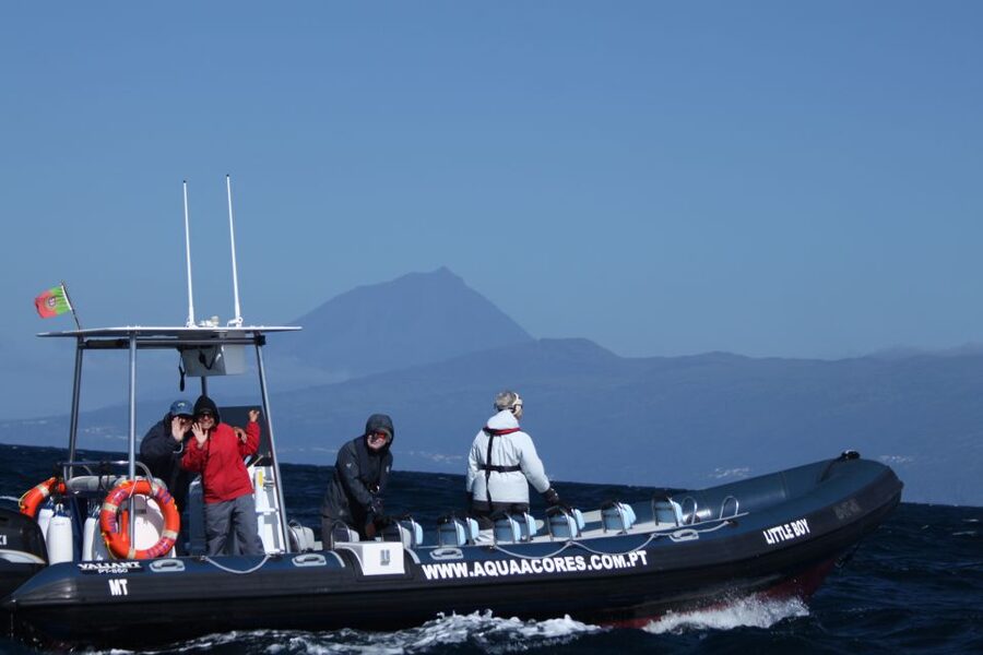 Pico Island: Azores Whale & Dolphin Watching on Zodiac Boat - Key points to know before you go