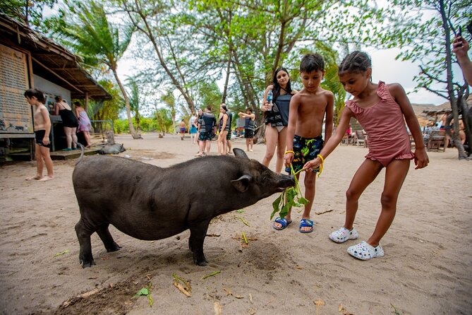 Pink Dolphin and Pig Island Snorkeling Tour from Koh Samui - Why this route works so well from Koh Samui