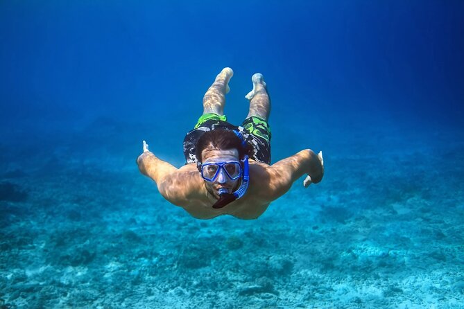 Pink Dolphin Spotting & Snorkelling Day Tour At Pigs Island - Snorkeling around Koh Tan