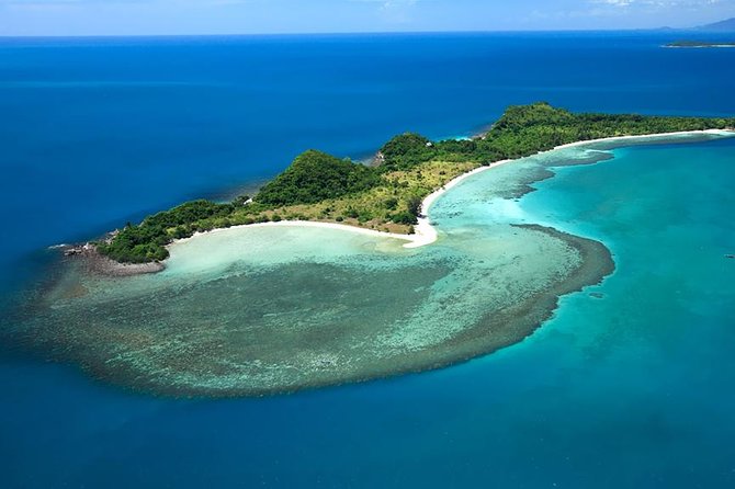 Pink Dolphin Spotting & Snorkelling Day Tour At Pigs Island - Pig Island, white sand, and friendly pigs