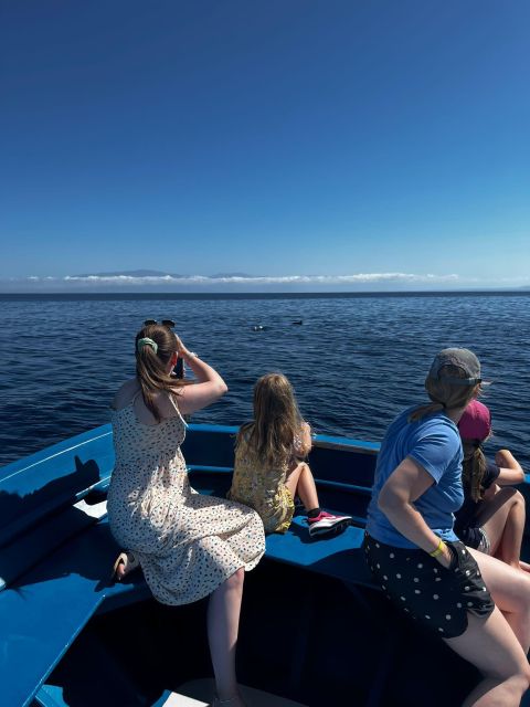 Pizzo: Fishing, Snorkeling, Dolphin Watching - Trying trolling fishing from the boat