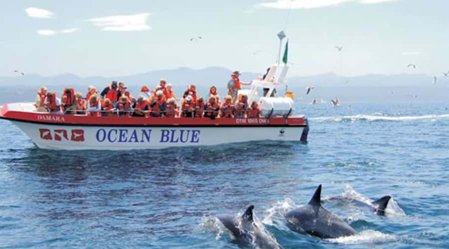 Plettenberg Bay: Dolphin and Marine Boat Tour - East past the bird sanctuary and along Keurbooms Beach