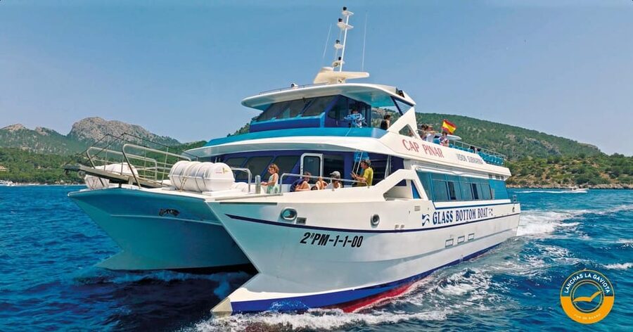 Pollença: Dolphin Watching Boat Excursion - Breakfast with coffee, pastries, and orange juice