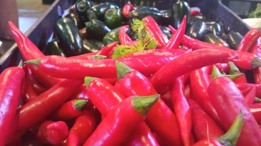 Ponta Delgada: Fat Dolphin Food Tours - Why this Ponta Delgada food tour feels different