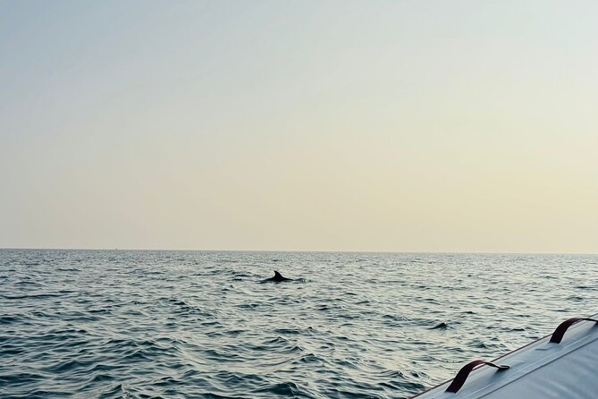 Porec Sunset Shared Cruise on Speedboat with Dolphin Sightseeing - Weather, cancellations, and simple planning