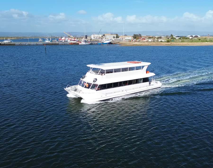 Port Adelaide: Dolphin and Maritime Cruise - Entering the Adelaide Dolphin Sanctuary