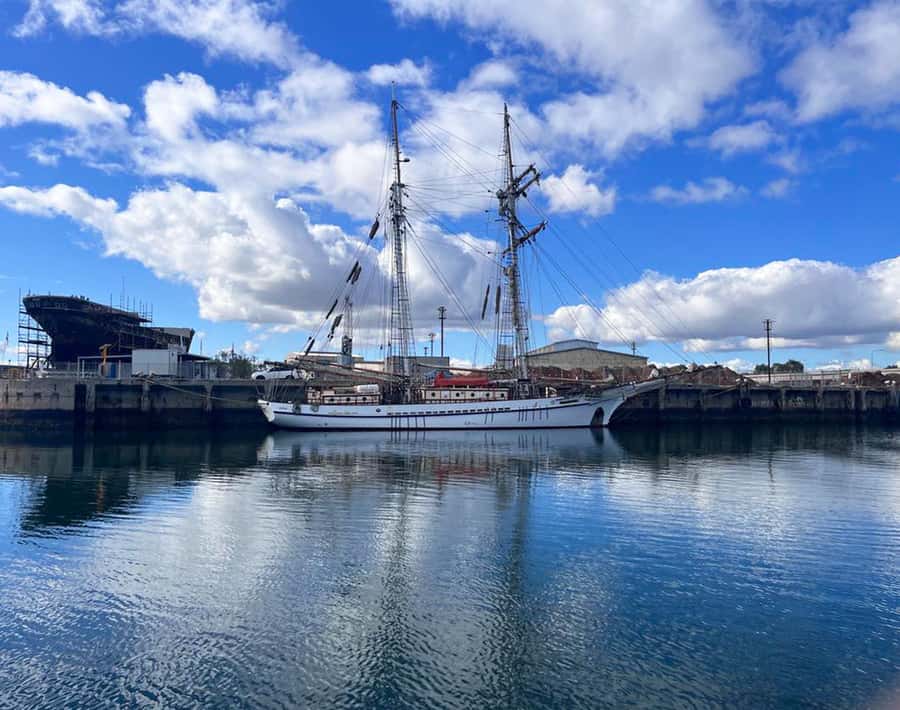 Port Adelaide: Dolphin and Maritime Cruise - Mangroves, mudflats, and the river’s changing edges