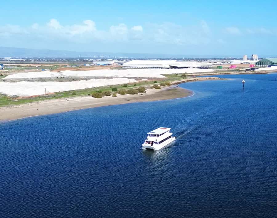 Port Adelaide: Dolphin and Maritime Cruise - Why the two-hour length works