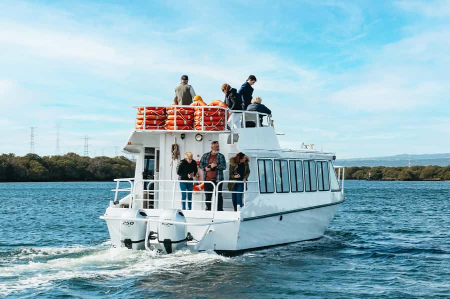 Port Adelaide: Dolphin and Ships Graveyard Cruise - Key points at a glance