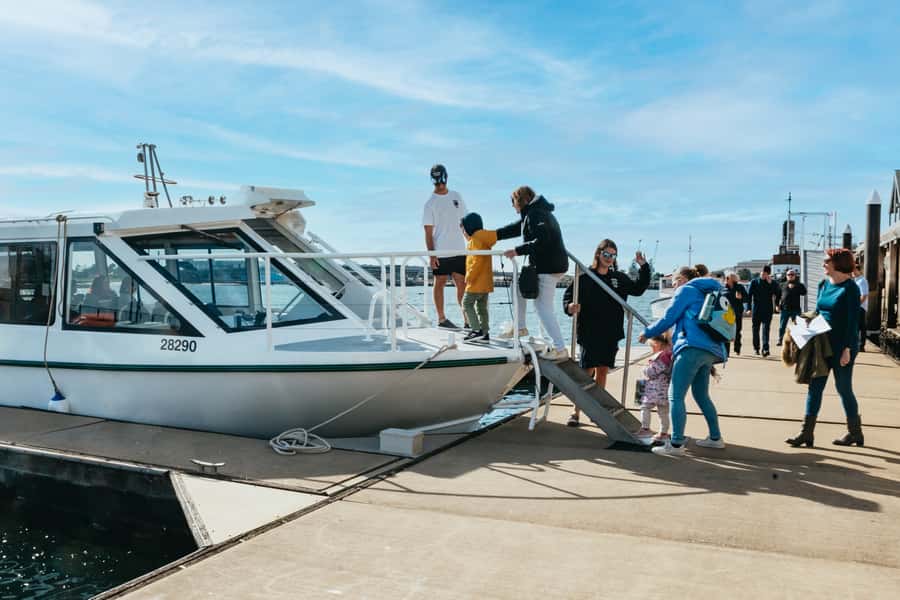 Port Adelaide: Dolphin and Ships Graveyard Cruise - Who will enjoy it most