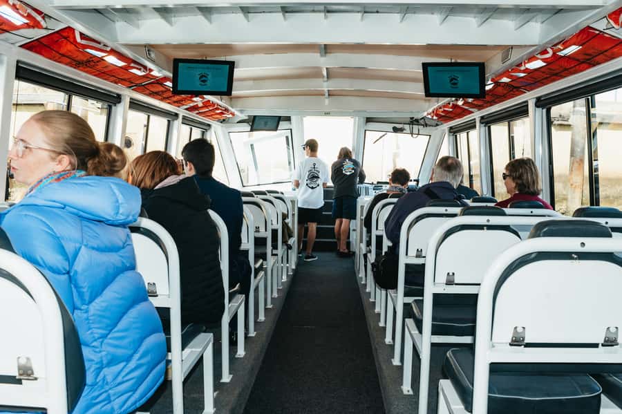 Port Adelaide: Dolphin and Ships Graveyard Cruise - Why this cruise is more than a dolphin trip