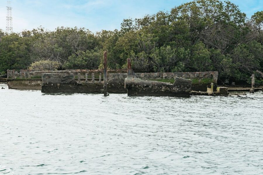 Port Adelaide: Dolphin and Ships Graveyard Cruise - Searching for dolphins in the city