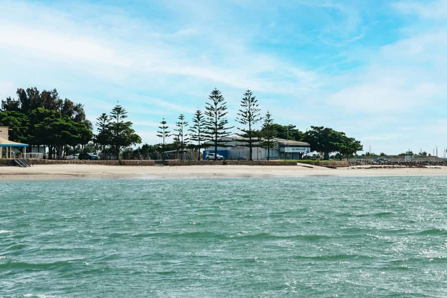 Port Adelaide: Dolphin and Ships Graveyard Cruise - The value of $62 per person