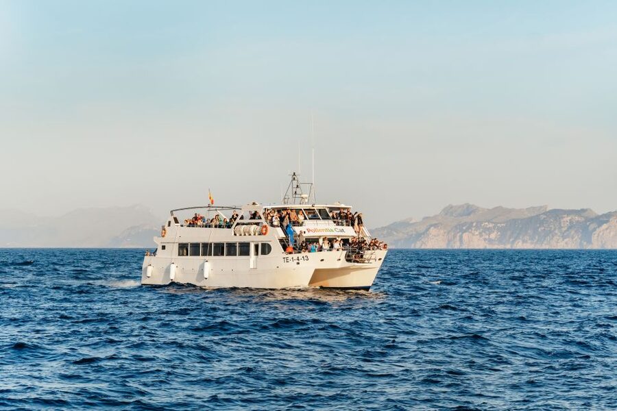 Port d'Alcudia: Sunrise at Sea & Dolphin Watching Boat Tour - Leaving Port dAlcudia before sunrise