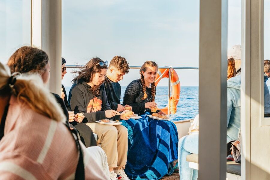 Port d'Alcudia: Sunrise at Sea & Dolphin Watching Boat Tour - Who should book this cruise?