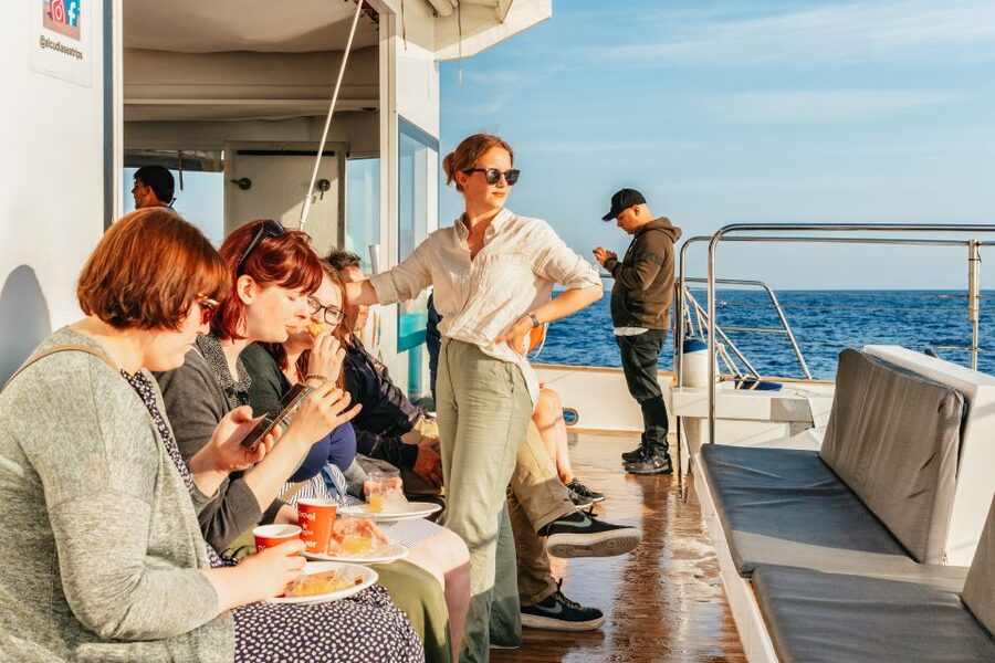 Port d'Alcudia: Sunrise at Sea & Dolphin Watching Boat Tour - The first hour: stars, sea, and a quiet playlist
