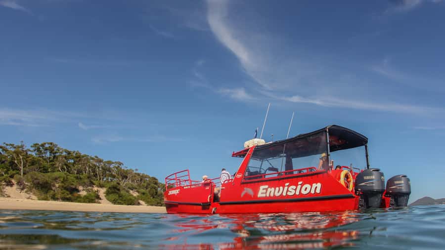 Port Stephens: 1hr Dolphin Watch Express - Why this one-hour cruise works