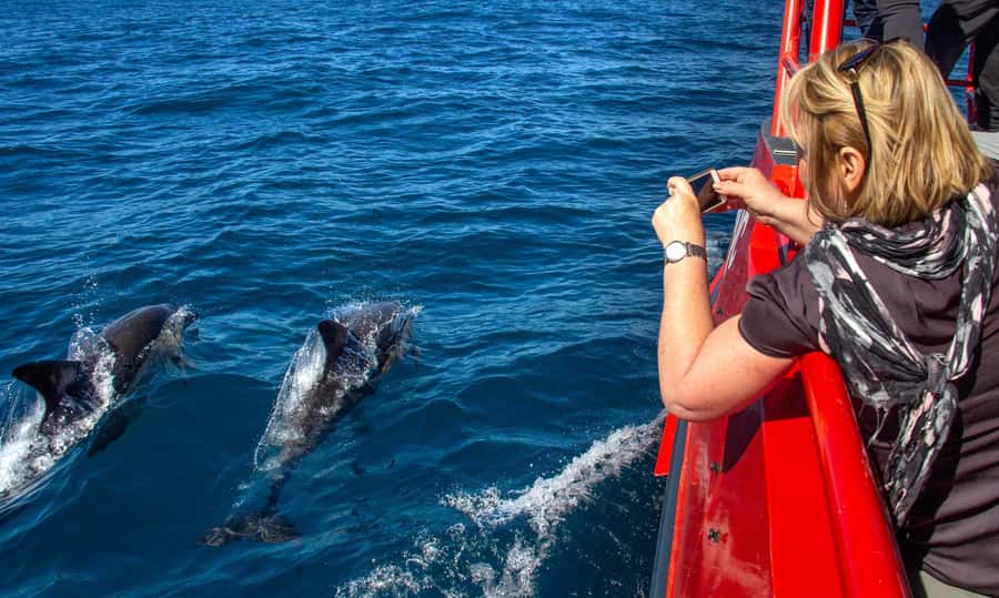 Port Stephens: 1hr Dolphin Watch Express - Boarding Envision and settling into the ride