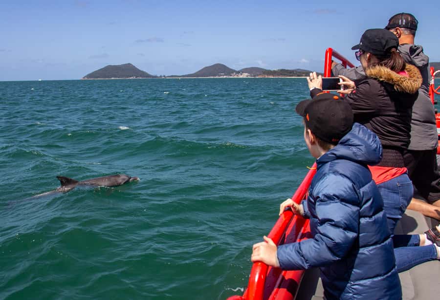 Port Stephens: 1hr Dolphin Watch Express - Cruising past Shoal Bay and the headlands