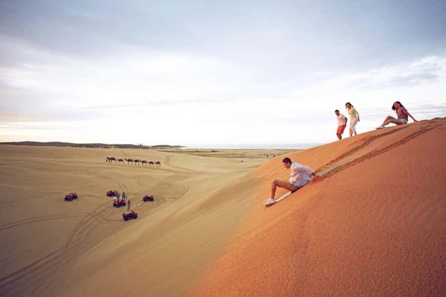 Port Stephens: Dolphin Cruise, Lunch, Koalas & Sandboarding - Key points to know before booking