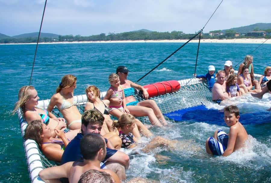Port Stephens: Dolphin Cruise, Lunch, Koalas & Sandboarding - Koalas at the Port Stephens sanctuary
