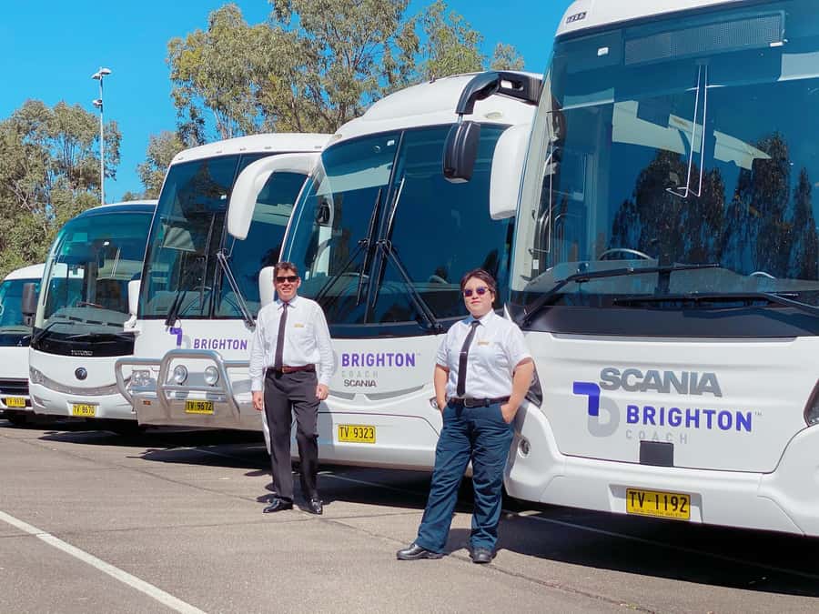 Port Stephens: Dolphin Cruise, Lunch, Koalas & Sandboarding - The coach, guides, and pace of the day