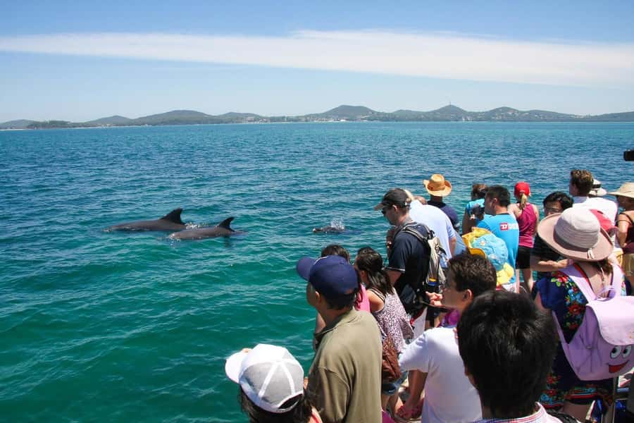 Port Stephens: Dolphin Cruise, Lunch, Koalas & Sandboarding - Who should book this day trip?