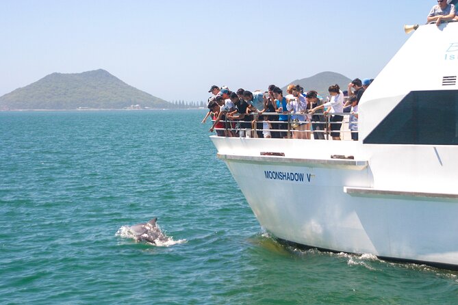 Port Stephens: Dolphin Discovery Cruise - Searching Port Stephens for Bottlenose Dolphins