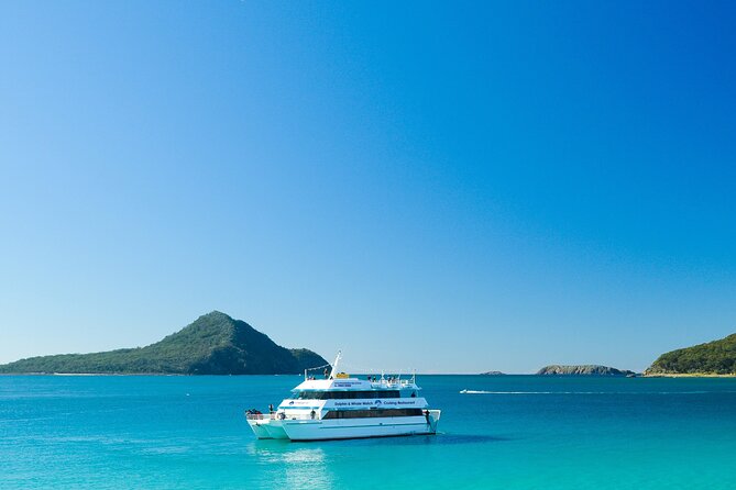 Port Stephens: Dolphin Discovery Cruise - Finding dolphins along the eastern harbour