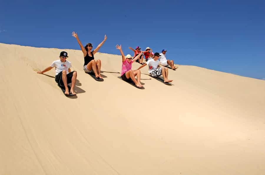 Port Stephens: Dolphin, Lunch, Koalas&Sandboarding(Japanese) - Key points at a glance