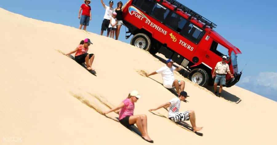 Port Stephens: Dolphin, Lunch, Koalas&Sandboarding -Mandarin - What this Port Stephens day trip is really like