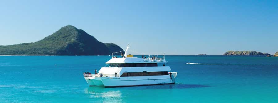 Port Stephens: Dolphin, Lunch, Koalas&Sandboarding -Mandarin - Dolphin watching from Nelson Bay