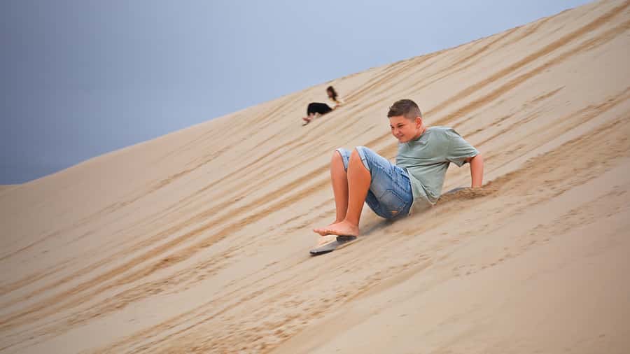Port Stephens: Dolphin, Lunch, Koalas&Sandboarding -Mandarin - A short visit to the Koala Sanctuary