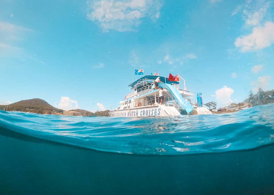 Port Stephens: Dolphin Watch Cruise with Swimming and Slides - Key things to know before you go