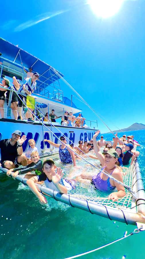 Port Stephens: Dolphin Watch Cruise with Swimming and Slides - How the crew shapes the experience