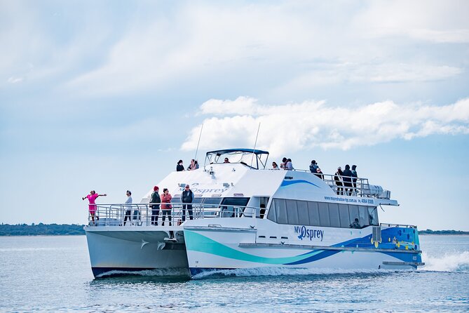 Port Stephens: Dolphin Watch Eco Adventure - Key points to know before booking