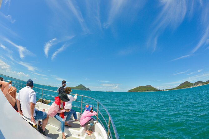 Port Stephens: Dolphin Watch Eco Adventure - What the live commentary adds