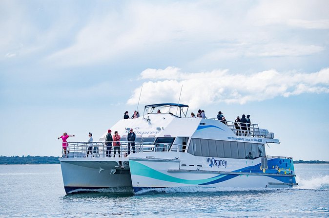 Port Stephens: Dolphin Watch Eco Adventure - Boom netting may be an extra thrill