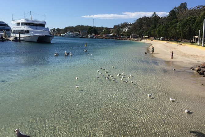 Port Stephens Private Tour From Sydney, with Dolphin/ Whale Cruise Options - Little Beach Reserve for a quick coastal pause