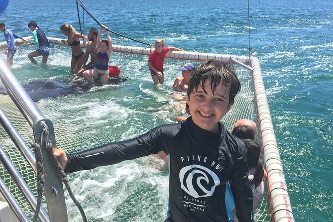 Port Stephens Private Tour From Sydney, with Dolphin/ Whale Cruise Options - The private format and what you pay for