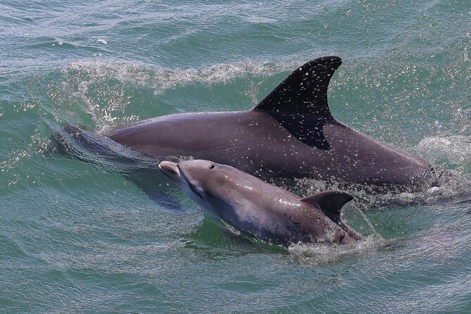Port Stephens: Splash 'n' Slide Dolphin Cruise - Heading east toward Tomaree and Yacaaba