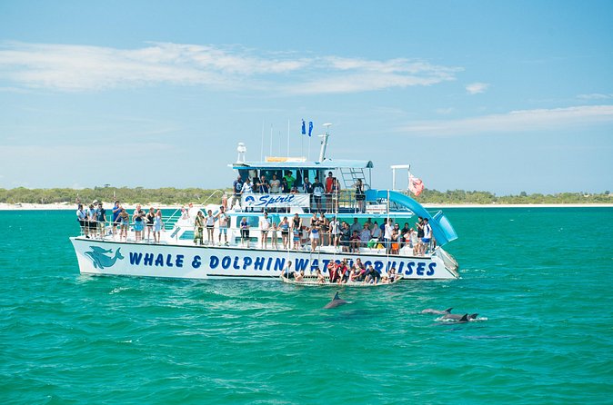 Port Stephens: Splash 'n' Slide Dolphin Cruise - The slide, boom net, and float mat