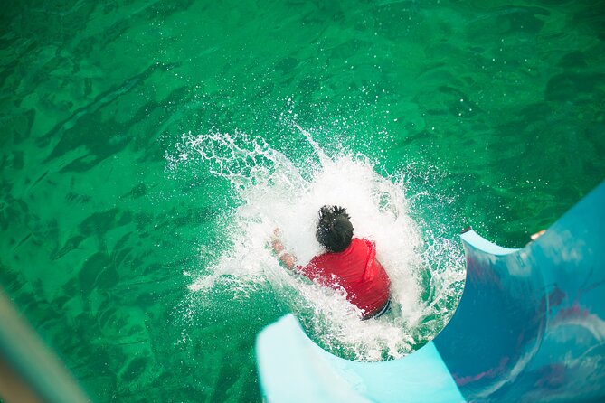 Port Stephens: Splash 'n' Slide Dolphin Cruise - Is the cruise suitable for families?