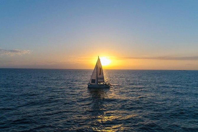 Premium All Inclusive Whale & Dolphin Watching Experience - Setting out from Puerto Colón