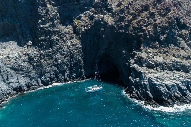 Premium All Inclusive Whale & Dolphin Watching Experience - Snacks, drinks, and the meaning of premium