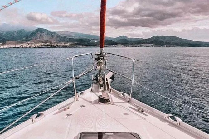 Premium All Inclusive Whale & Dolphin Watching Experience - Timing, meeting point, and cancellation rules