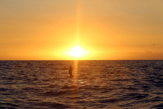 Premium Snorkel Sunset Cruise with Whale and Dolphin Watch - Sunset Over the Pacific