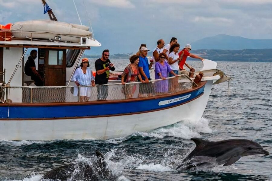 Preveza: Dolphin Watching Cruise with Lunch and Drinks - The crew and the feel on board