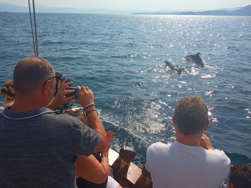 Preveza: Dolphin Watching Cruise with Lunch and Drinks - Is $70 a fair price?